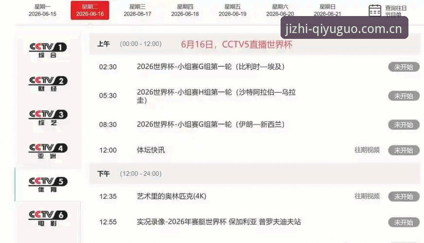 世界杯观赛受阻？奇异果体育平台球迷的签证困境与观赛实用指南